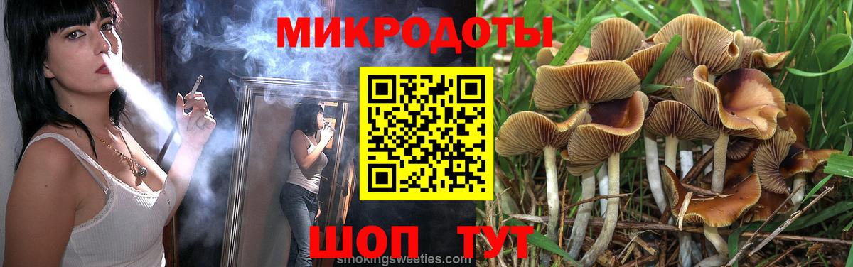 что такое   Галлюциногенные грибы Psilocybine cubensis  Вход с VPN  Мичуринск 